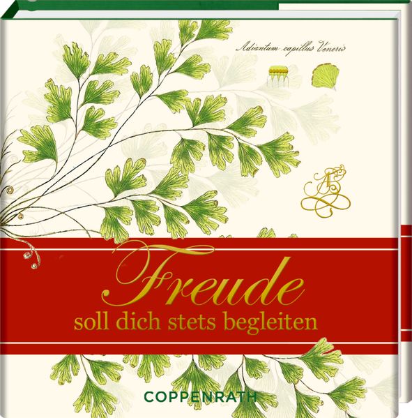 Cover von Freude soll dich stets begleiten