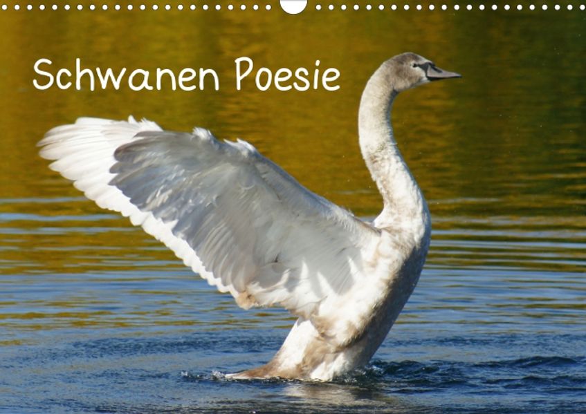 Cover von Schwanen Poesie (Posterbuch DIN A4 quer)