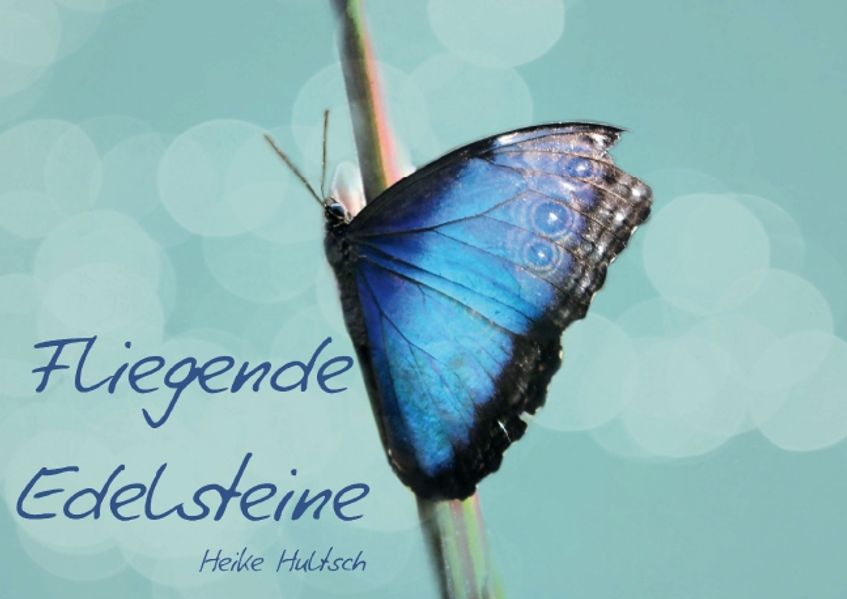 Cover von Fliegende Edelsteine (Posterbuch DIN A2 quer)
