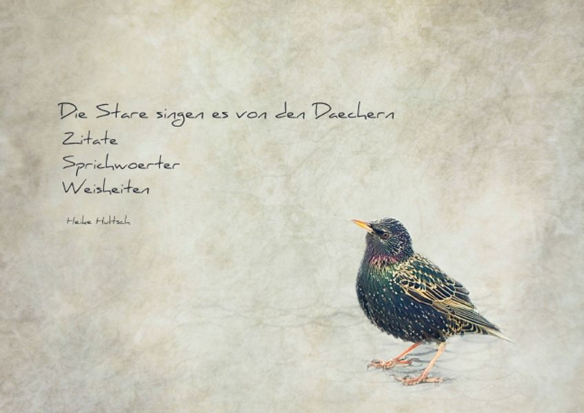 Cover von Die Stare singen es von den Dächern (Posterbuch DIN A4 quer)