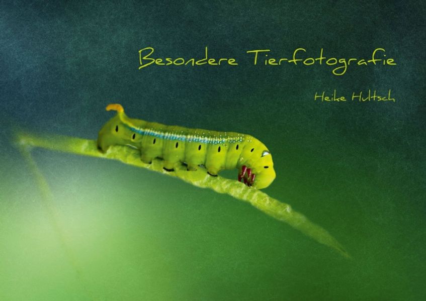 Cover von Besondere Tierfotografie (Posterbuch DIN A4 quer)