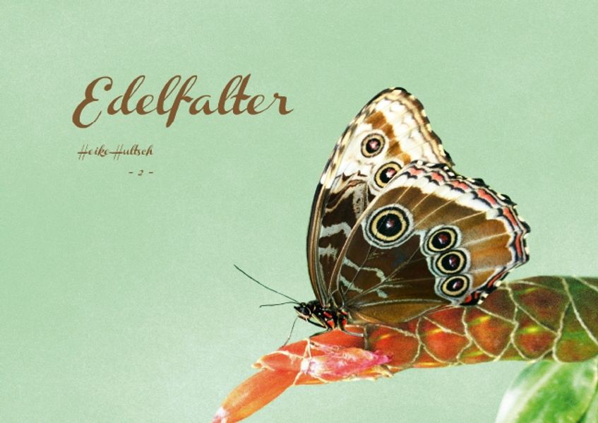Cover von Edelfalter – 2 – (Posterbuch DIN A4 quer)