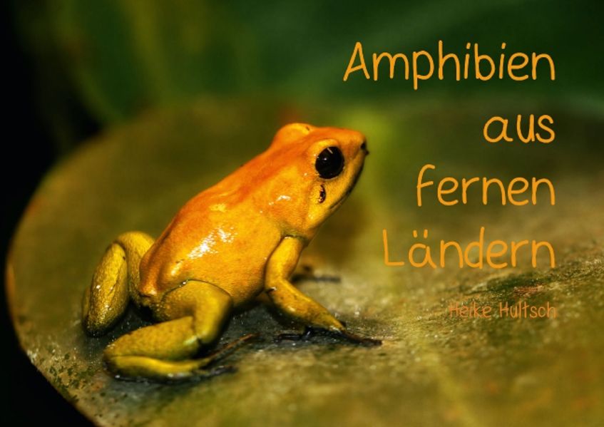 Cover von Amphibien aus fernen Ländern (Posterbuch DIN A3 quer)