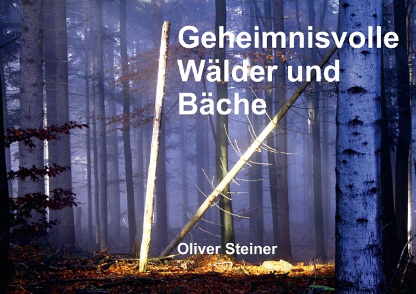 Cover von Geheimnisvolle Wälder und Bäche (Posterbuch DIN A2 quer)