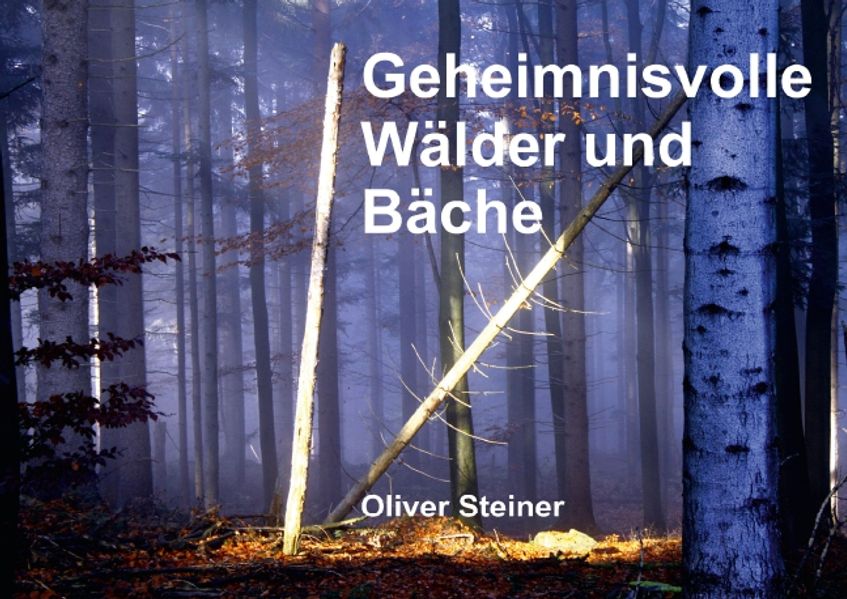 Cover von Geheimnisvolle Wälder und Bäche (Posterbuch DIN A4 quer)