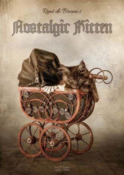 Cover von nostalgic kitten (Posterbuch DIN A4 hoch)