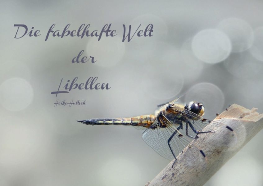 Cover von Die fabelhafte Welt der Libellen (Posterbuch DIN A3 quer)