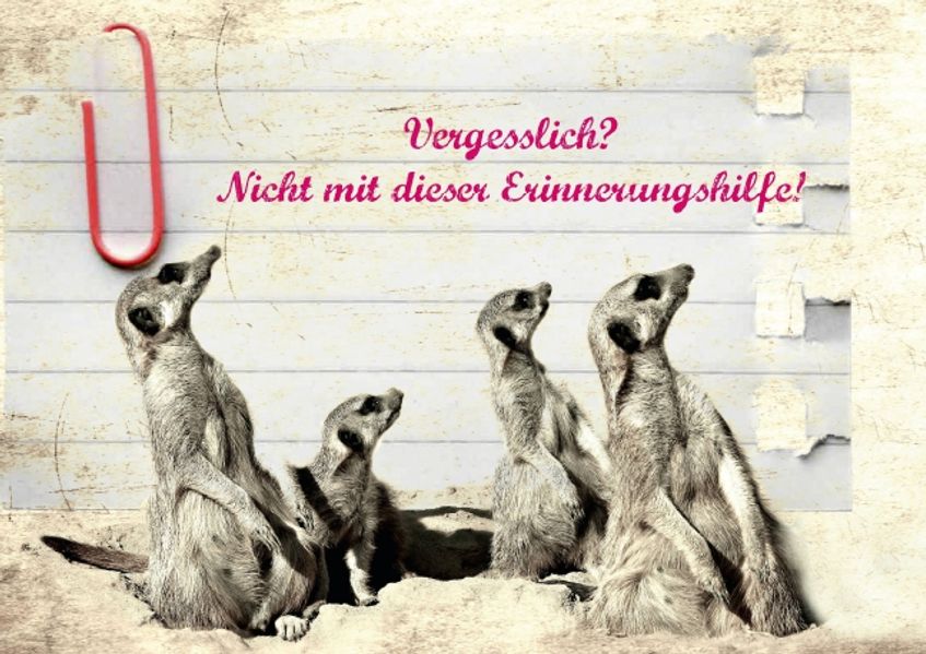 Cover von Vergesslich? Nicht mit dieser Erinnerungshilfe! (Posterbuch DIN A4 quer)