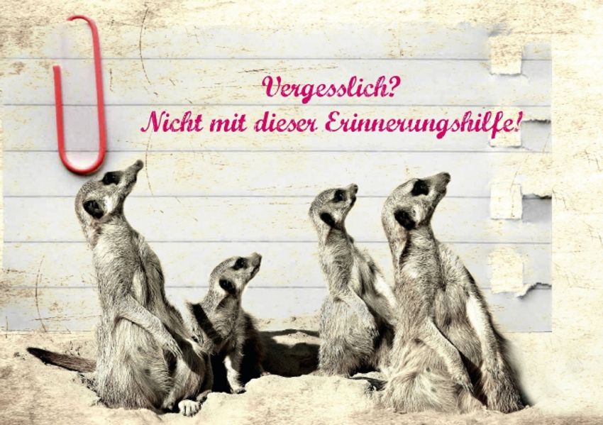 Cover von Vergesslich? Nicht mit dieser Erinnerungshilfe! (Posterbuch DIN A2 quer)