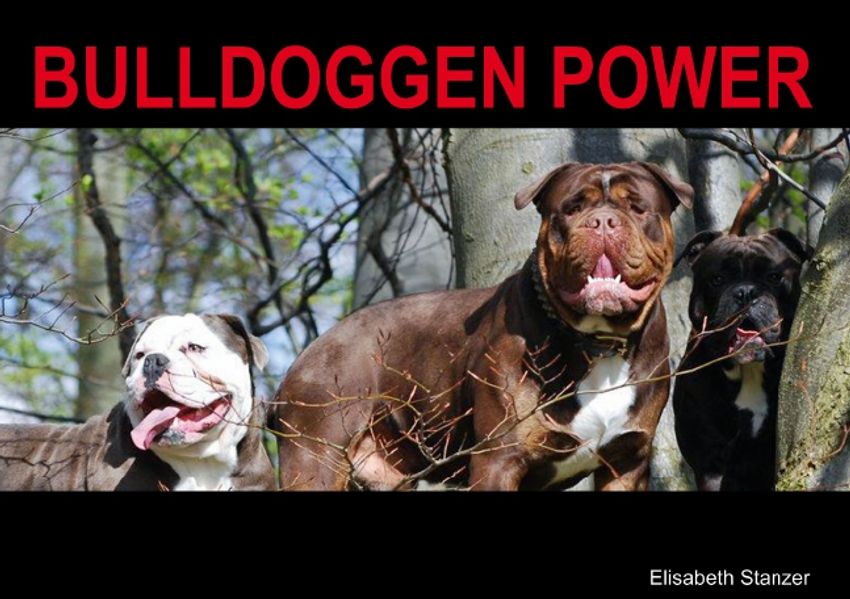 Cover von Bulldoggen Power (Posterbuch DIN A4 quer)