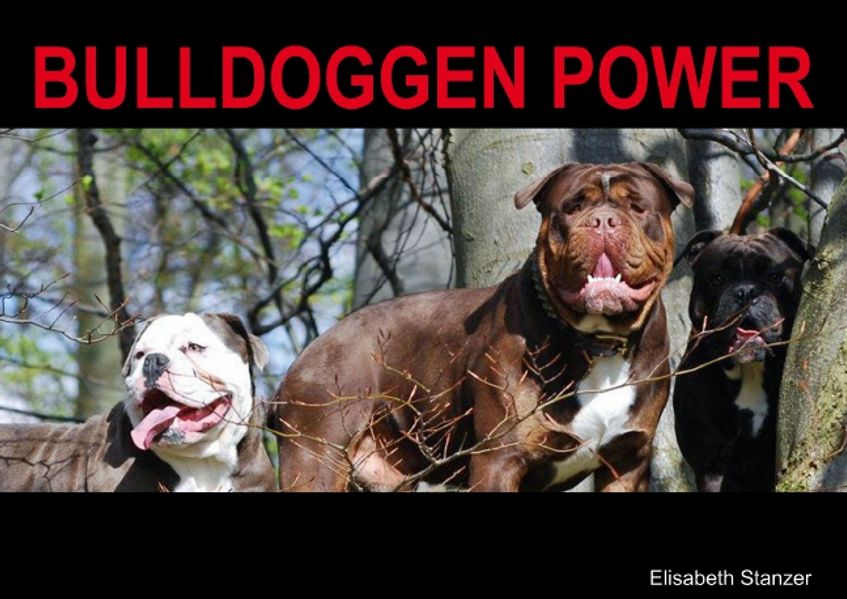 Cover von Bulldoggen Power (Posterbuch DIN A2 quer)