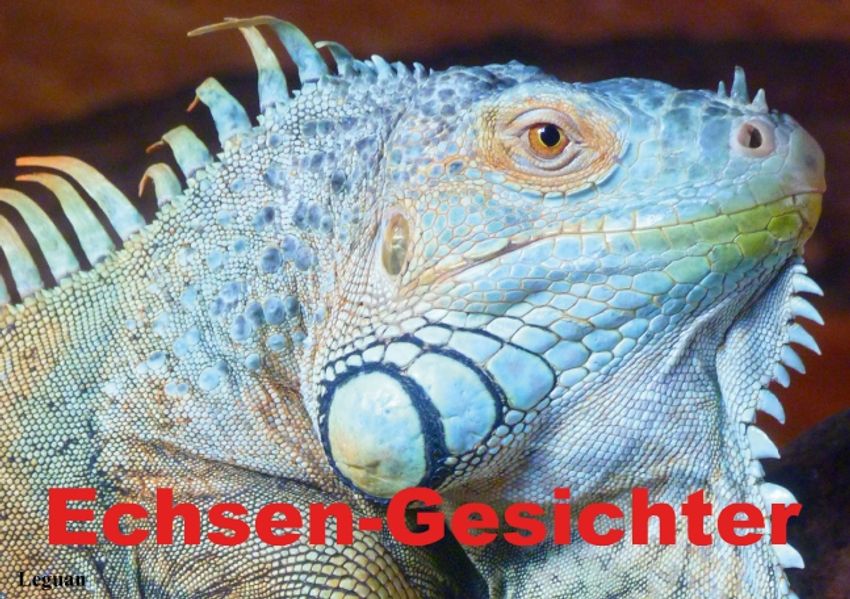 Cover von Echsen-Gesichter (Posterbuch DIN A3 quer)