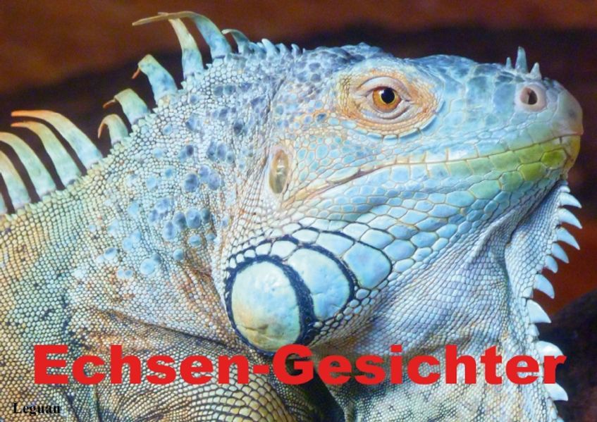 Cover von Echsen-Gesichter (Tischaufsteller DIN A5 quer)