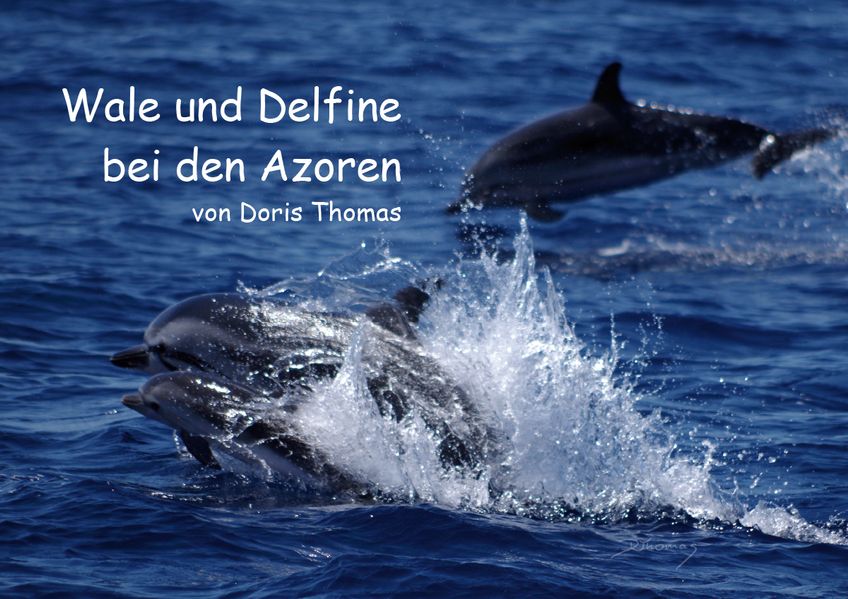 Cover von Wale und Delfine bei den Azoren (Posterbuch DIN A3 quer)