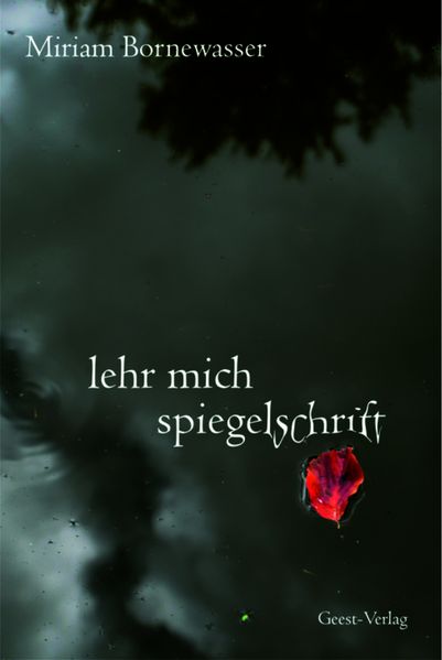 Cover von Lehr mich Spiegelschrift