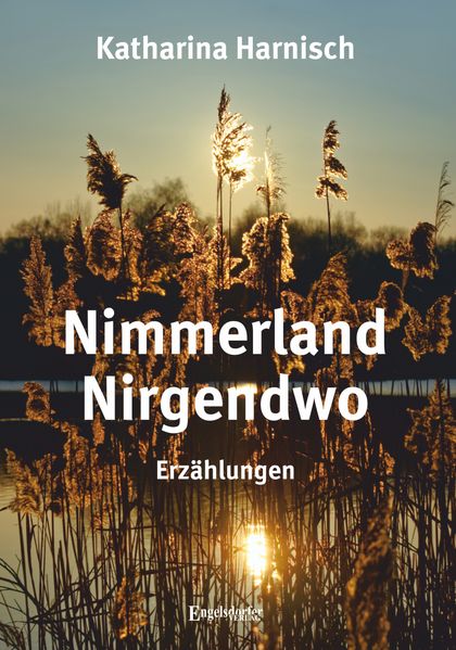 Cover von Nimmerland Nirgendwo