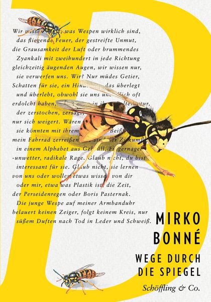 Cover von Wege durch die Spiegel