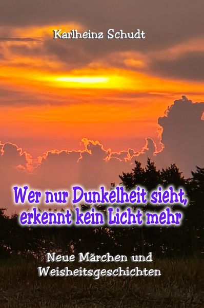 Cover von Wer nur Dunkelheit sieht, erkennt kein Licht mehr