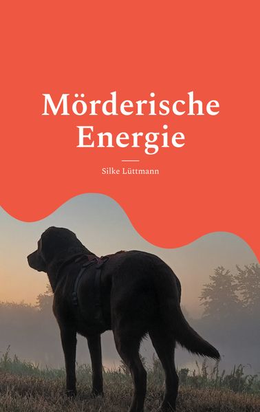 Cover von Mörderische Energie