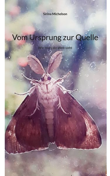 Cover von Vom Ursprung zur Quelle