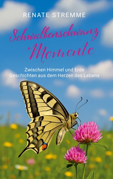 Cover von Schwalbenschwanz Momente