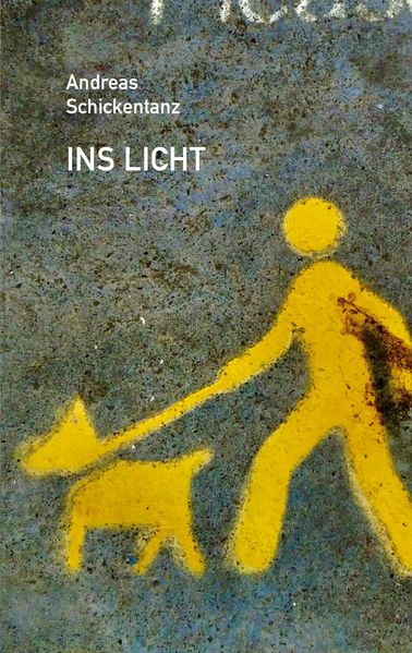 Cover von Ins Licht