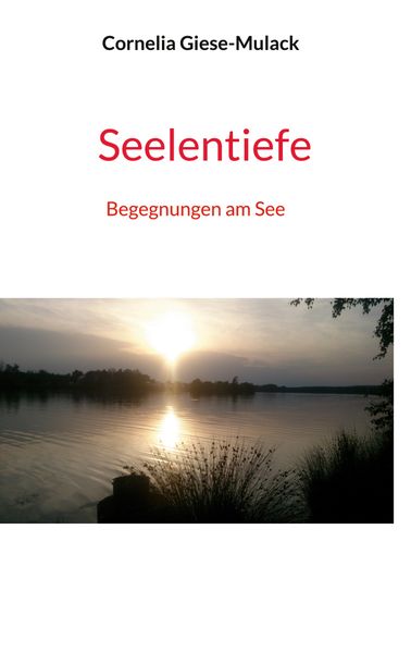 Cover von Seelentiefe