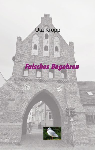 Cover von Falsches Begehren