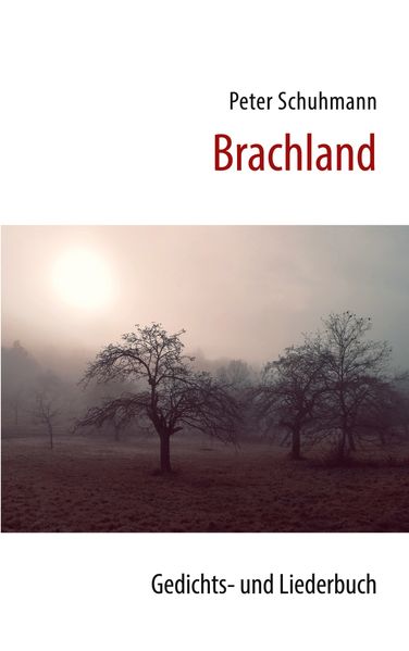 Cover von Brachland