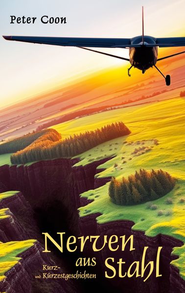 Cover von Nerven aus Stahl