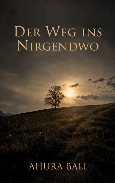 Cover von Der Weg ins Nirgendwo