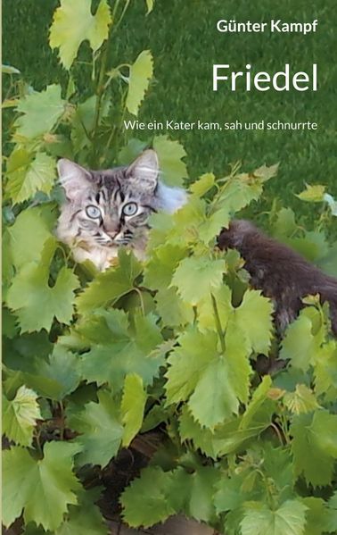 Cover von Friedel