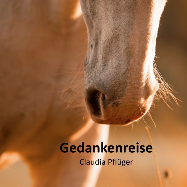 Cover von Gedankenreise