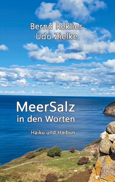 Cover von MeerSalz in den Worten