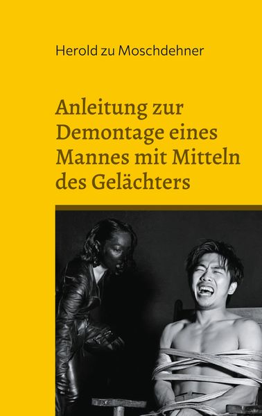 Cover von Anleitung zur Demontage eines Mannes mit Mitteln des Gelächters