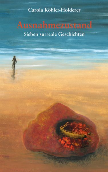 Cover von Ausnahmezustand