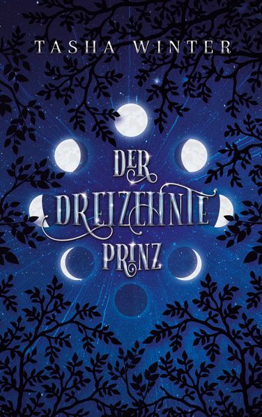 Cover von Der dreizehnte Prinz