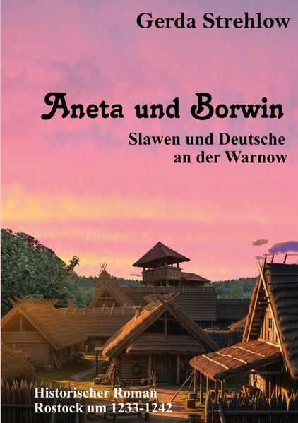 Cover von Aneta und Borwin