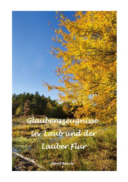 Cover von Glaubenszeugnisse in Laub und der Lauber Flur