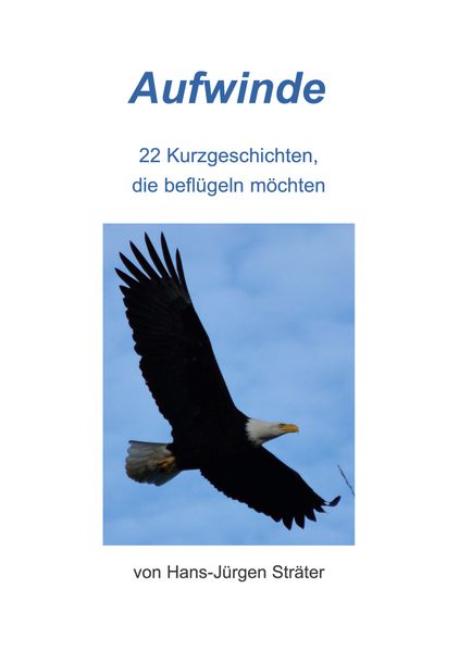 Cover von Aufwinde