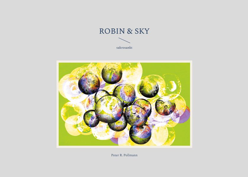 Cover von Robin & Sky