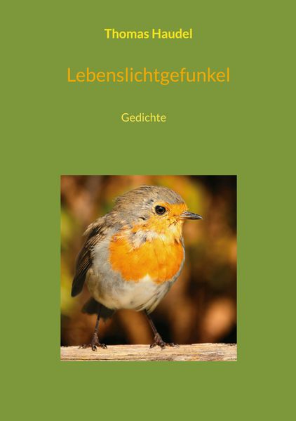 Cover von Lebenslichtgefunkel