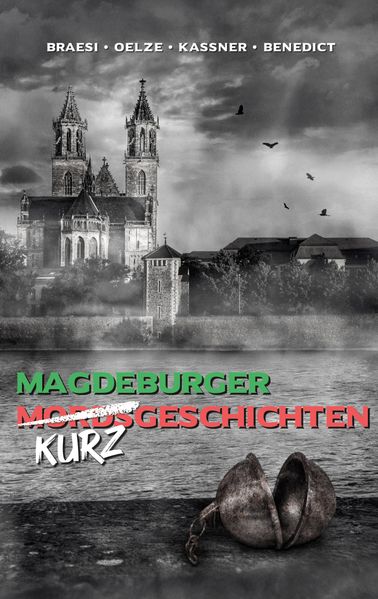 Cover von Magdeburger (Mords) Kurzgeschichten finster bis heiter