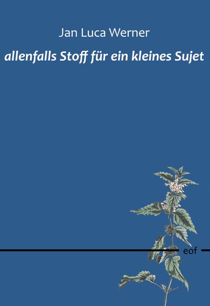 Cover von allenfalls Stoff für ein kleines Sujet