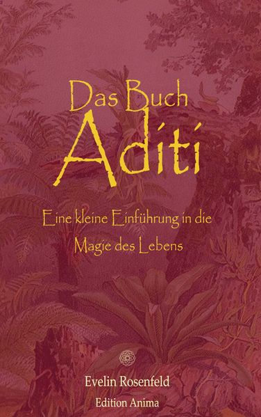 Cover von Das Buch Aditi