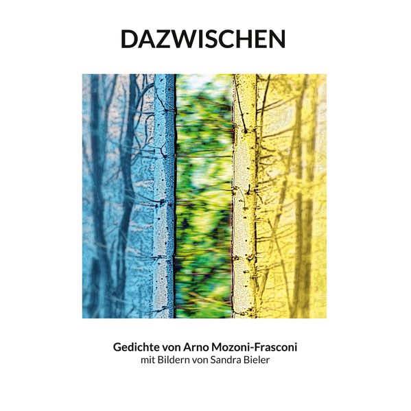 Cover von Dazwischen