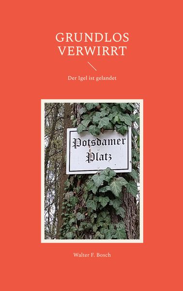 Cover von Grundlos verwirrt