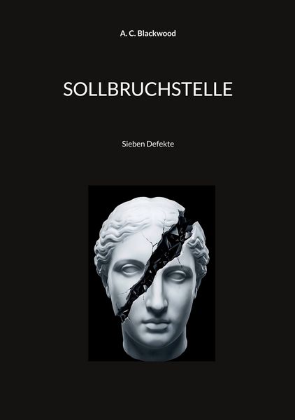 Cover von SOLLBRUCHSTELLE