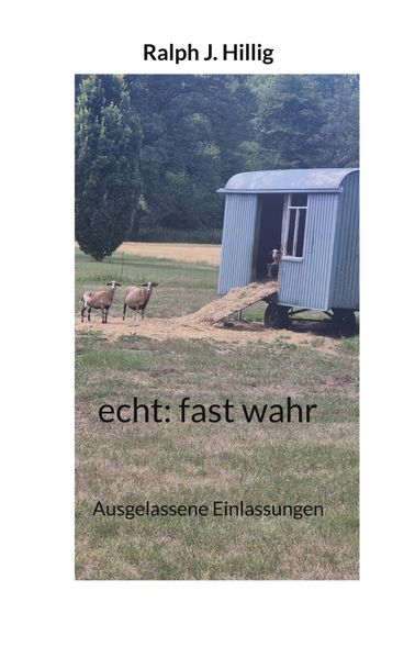 Cover von echt: fast wahr