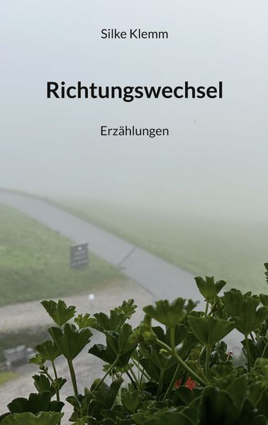Cover von Richtungswechsel